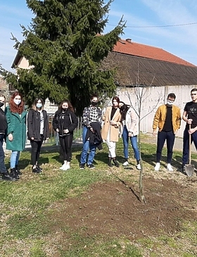 Gimnazija Antuna Gustava Matoša obilježila Dane kolektivne sadnje drveća u Hrvatskoj - Gospodarstvo - Elatus