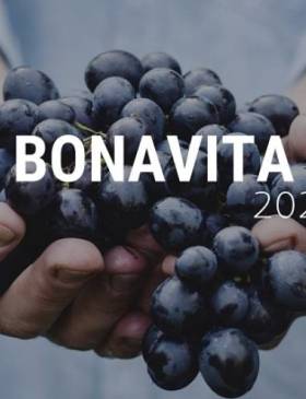 Poznati šampioni ovogodišnje Bonavite - Gospodarstvo - Elatus