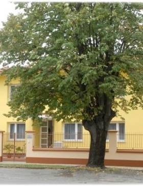 Udruga Amadea: "Alzheimer u zajednici'' - Lifestyle - Novi Radio, Đakovo