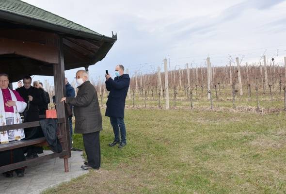 Blagoslov nadbiskupijskih vinograda - Vijesti - Elatus