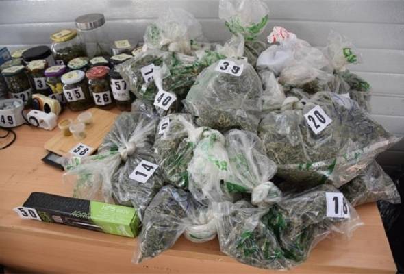 Đakovačka policija pronašla marihuanu - Vijesti - Elatus