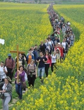 Križni put za mlade:  „Bij dobar boj vjere“ - Vijesti - Elatus