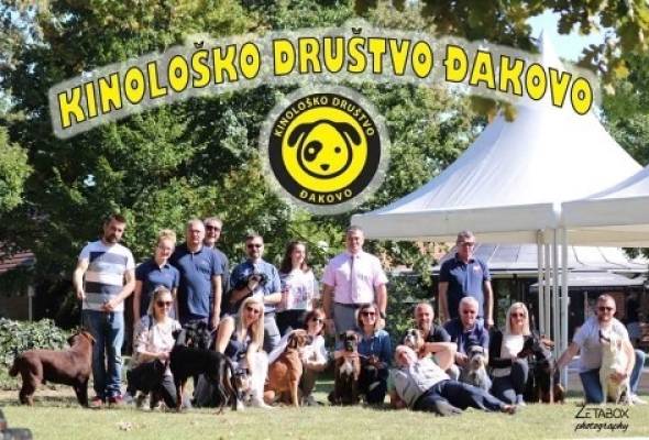 Kinološko društvo Đakovo poziva na nacionalnu izložbu pasa - Vijesti - Elatus