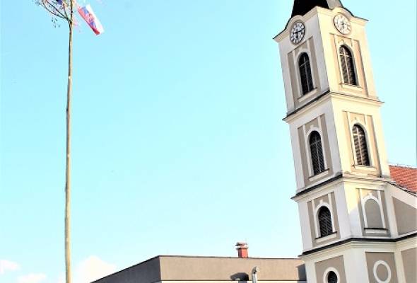 Majsko drvo od 28 metara u Josipovcu Punitovačkom - Vijesti - Elatus