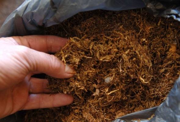 Budrovci:Prevozio 50 kilograma duhana - Vijesti - Elatus