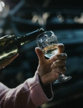Kraj mjeseca rujna donosi novi Zlatni Wineend u Trnavi - Culture - Elatus