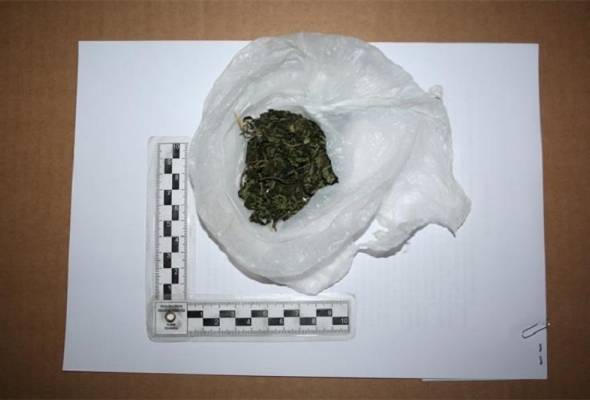 Policija u Đakovu oduzela marihuanu - Vijesti - Elatus
