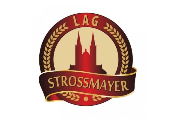 Radionica LAG-a "Strossmayer - Vijesti - Elatus