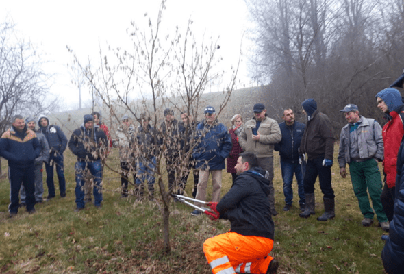 LAG "Strossmayer": Pokazna rezidba lijeske - Gospodarstvo - Elatus