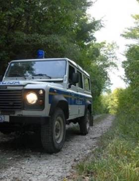 Pronašli kradljivca jelenskih rogova - Vijesti - Elatus
