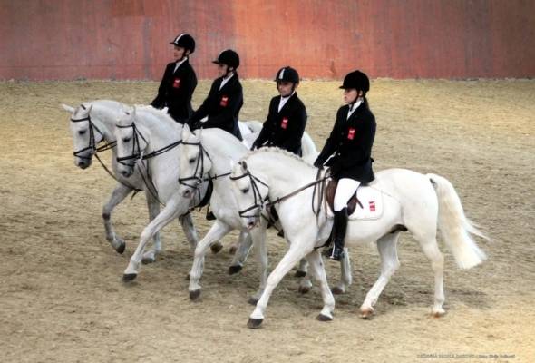 Atraktivni konjički program u zatvorenoj jahaonici Državne ergele Đakovo - Culture - Elatus