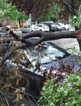 Olujno nevrijeme u Slavoniji - Gospodarstvo - Elatus