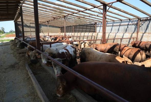 Proglašena prirodna nepogoda na području Grada Đakova i Općine Strizivojna - Vijesti - Elatus