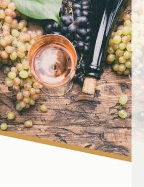 Zlatni Wineend u Trnavi - Culture - Elatus