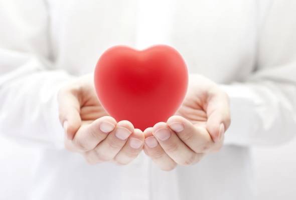 „Provjerite ritam svog srca – EKG u ljekarni“ - Vijesti - Elatus