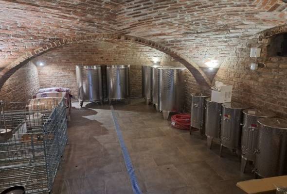 Berba grožđa u školskom vinogradu i "Šljivijada" - Vijesti - Elatus