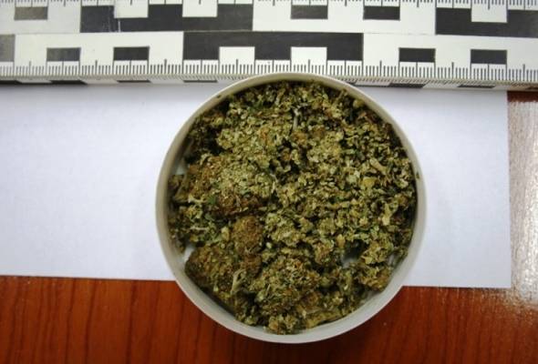 Policija pronašla marihuanu, digitalnu vagu i novac - Vijesti - Elatus