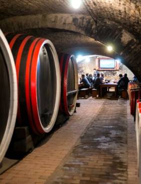 Osječko-baranjska županija kao hedonistička destinacija ponovo bilježi rekordne turističke rezultate - Gospodarstvo - Elatus