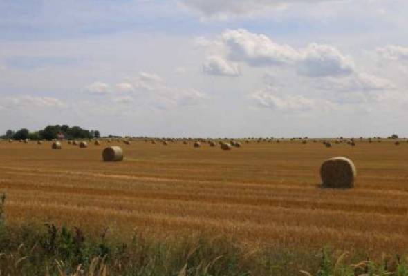 Otvoreni javni pozivi iz poljoprivrede i ruralnog razvoja - Gospodarstvo - Elatus