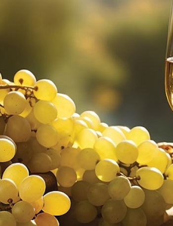 Vinski mjesec: U subotu se održava 38. Bonavita - Gospodarstvo - Novi Radio, Đakovo