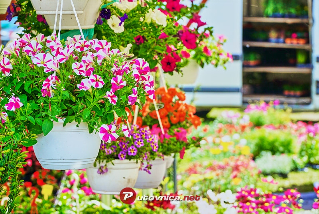 I ove godine organiziran odlazak na sajam cvijeća Floraart - Novi Radio, Đakovo