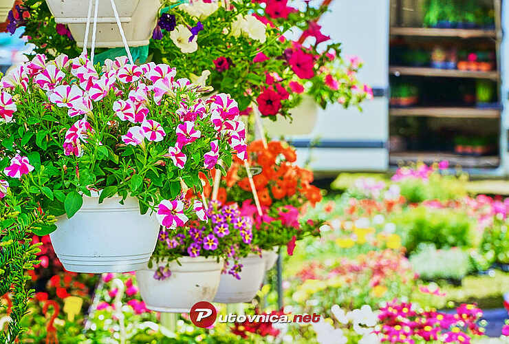 I ove godine organiziran odlazak na sajam cvijeća Floraart - Vijesti - Novi Radio, Đakovo
