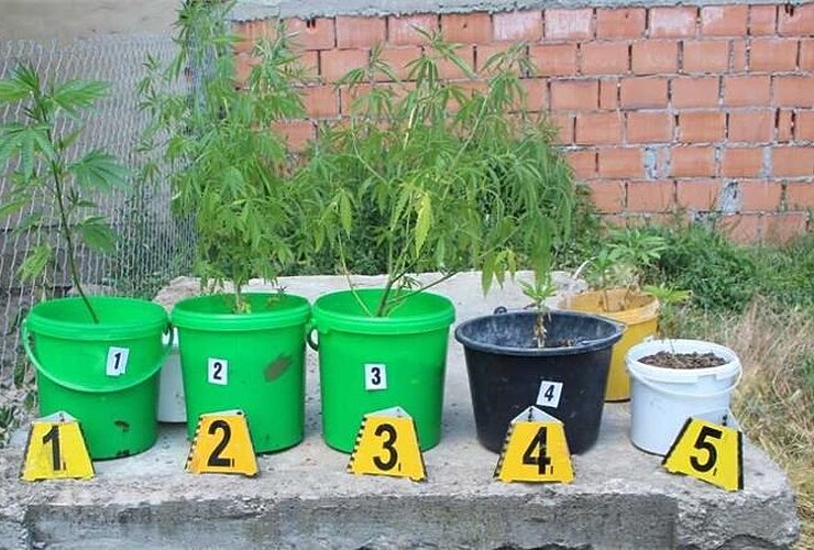 U pretragama pronađena marihuana i digitalne vage - Vijesti - Novi Radio, Đakovo