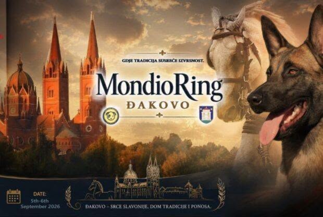Prvi Mondioring turnir u Đakovu ali i u Osječko-baranjskoj županiji - Novi Radio, Đakovo