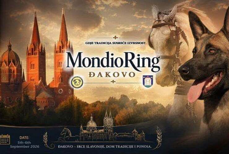 Prvi Mondioring turnir u Đakovu ali i u Osječko-baranjskoj županiji - Vijesti - Novi Radio, Đakovo